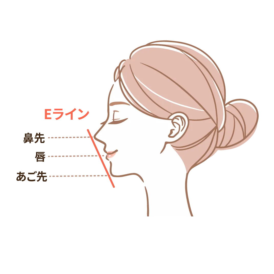 直線的なEラインになる